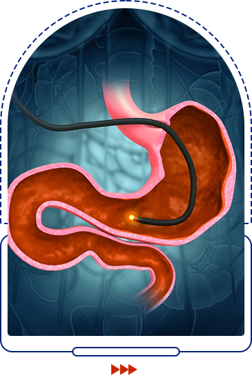 Endoscopy icon
